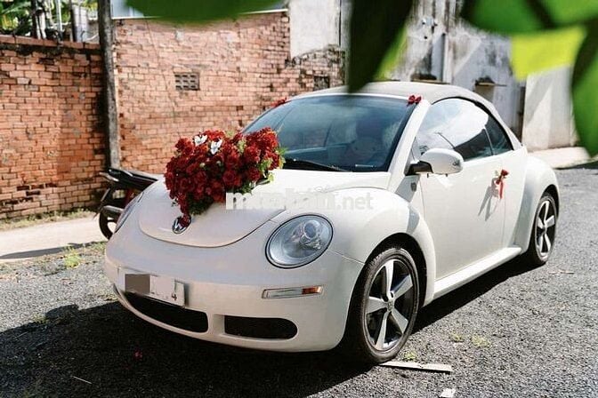 Volkswagen New Beetle mui trần