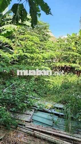 Chính chủ cần bán lô đất, thạnh Lộc, quận 12