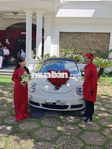 Volkswagen New Beetle mui trần