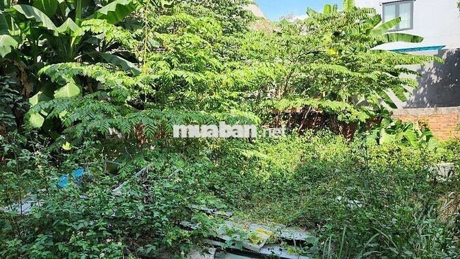 Chính chủ cần bán lô đất, thạnh Lộc, quận 12