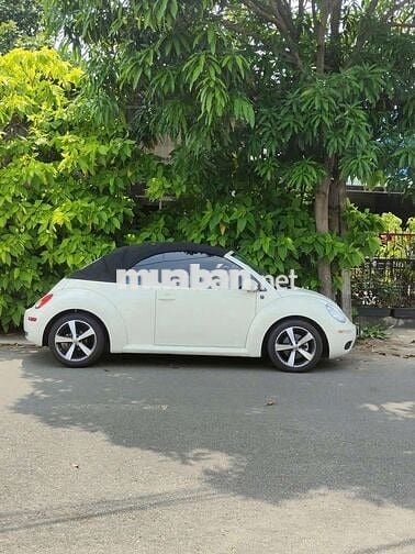 Volkswagen New Beetle mui trần