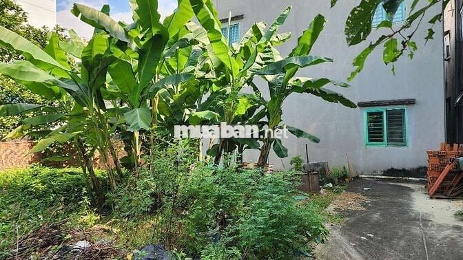 Chính chủ cần bán lô đất, thạnh Lộc, quận 12