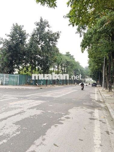 LÔ GÓC MẶT ĐƯỜNG – 157M² FULL THỔ CƯ – GIÁ CHƯA TỚI 100TR/M²