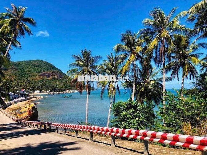 Bán 12 công taị đặc khu Hòn Sơn, kiên giang