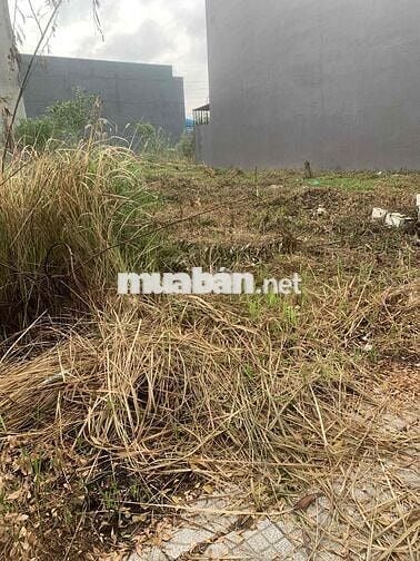 Bán đất khu dân cư Mỹ Hạnh Hoàng Gia.