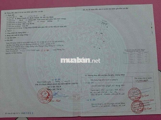 🔥 CHỦ CẦN TIỀN GẤP CHO CON ĐI DU HỌC – BÁN NHÀ GIÁ RẺ XÃ BÌNH CHÁNH