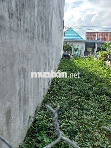 Bán đất Ấp Mới 2, đường Gò Hưu, xã Mỹ Hạnh Nam, Long An.