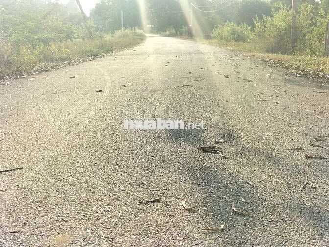 Phải rất rất nhanh 31ty hạ sốc bán gấp 23 tỷ  thật 100% ạ