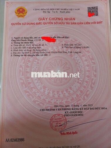 Bán đất Ấp Mới 2, đường Gò Hưu, xã Mỹ Hạnh Nam, Long An.