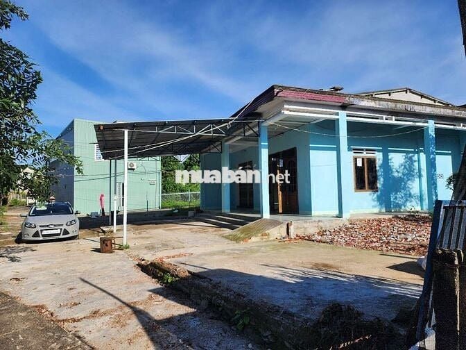 Chỉ 3.5tr/tháng . Tôi cần Cho thuê nhà vườn đường oto 300m2