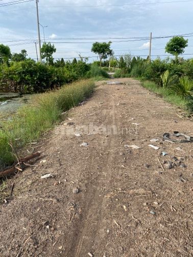 Chủ đất bán 1000m2 đất cách tuyến metrol 500 m