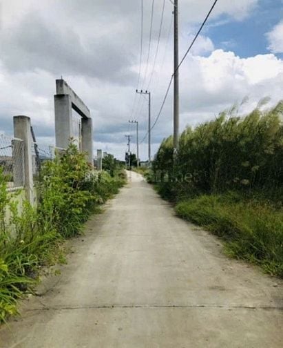 Chủ đất bán 1000m2 đất cách tuyến metrol 500 m