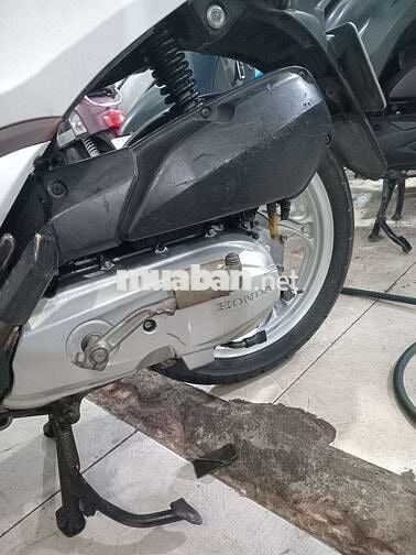 Honda Vision Trắng