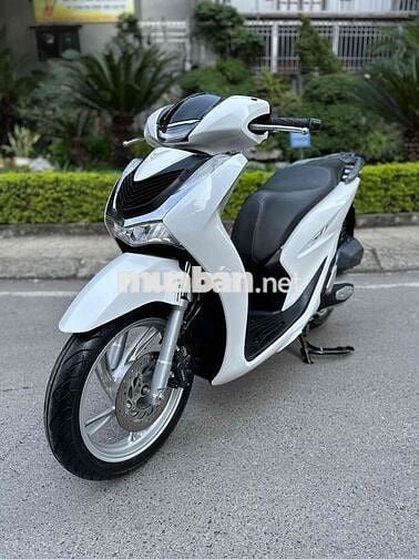 SH 125 cbs năm 2020 biển 29