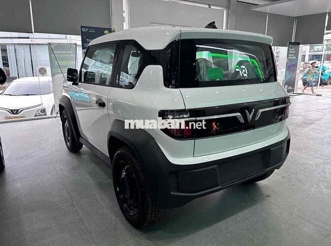 🔥VinFast VF3 2025 Giá sập sàn🔥