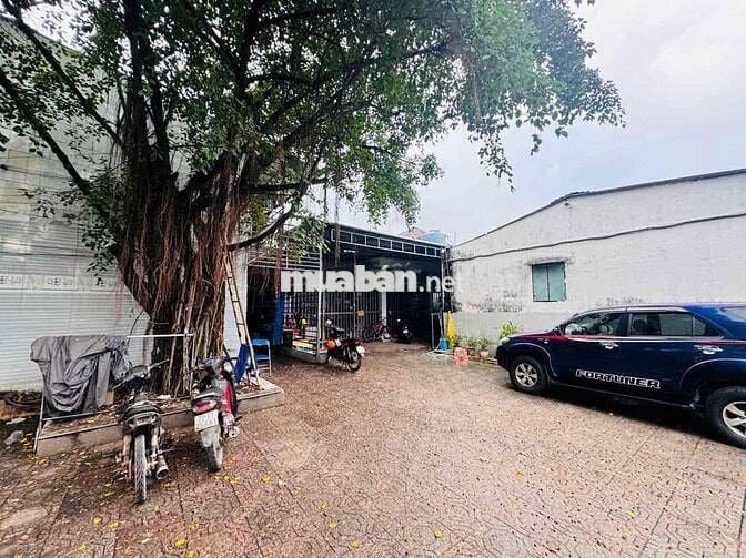 SIÊU VIP NGUYỄN THỊ THÍCH BÌNH CHIỂU – THỦ ĐỨC – 1.028M² (N26x40)