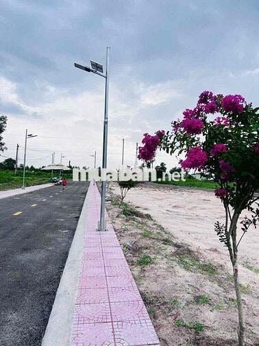 🔥 “Xuống tiền AP Long Thành hôm nay – Đón sóng tăng giá ngày mai!”