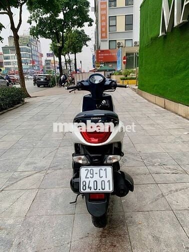 Janus  2020 bản limited