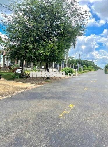 ĐẤT MẶT TIỀN KINH DOANH BUÔN BÁN- SỔ HỒNG SẴN