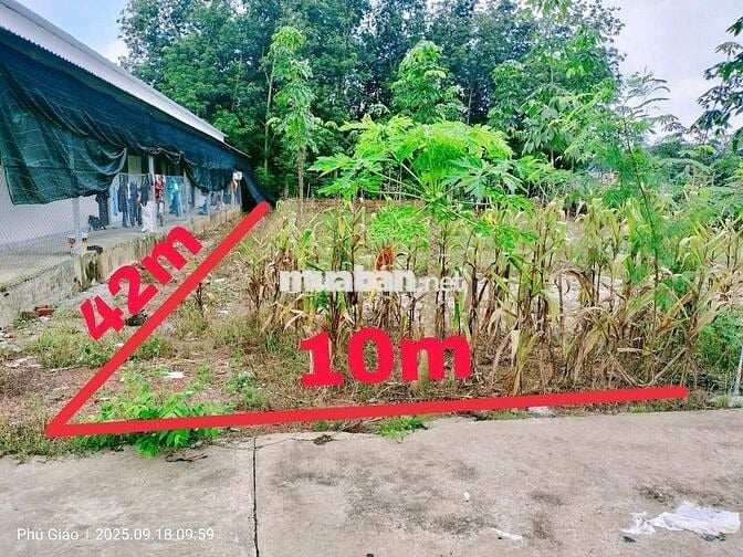 BÁN ĐẤT XÂY TRỌ 420m2 (100m2 TC) ĐỐI DIỆN THPT NGUYỄN HUỆ, GIÁ 830TR