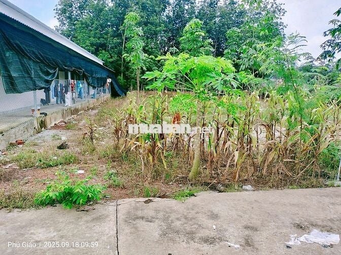 BÁN ĐẤT XÂY TRỌ 420m2 (100m2 TC) ĐỐI DIỆN THPT NGUYỄN HUỆ, GIÁ 830TR