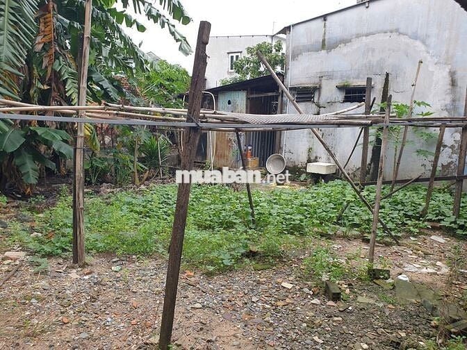 HOT- Bán gấp nhà vườn DT 16m*30m 1/Trần Văn Mười,gần chợ Đại Hải H-Môn