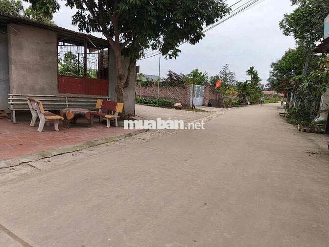 Bán đất ở Thổ Cư - Diện tích 90m2