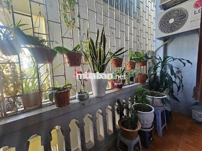 Mặt ngõ nông  oto đỗ Kim giang 35mx4T ở đỉnh-thuê tốt Giá11.5 tỷ