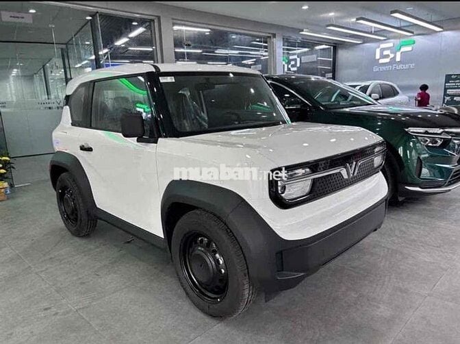 🔥VinFast VF3 2025 Giá sập sàn🔥