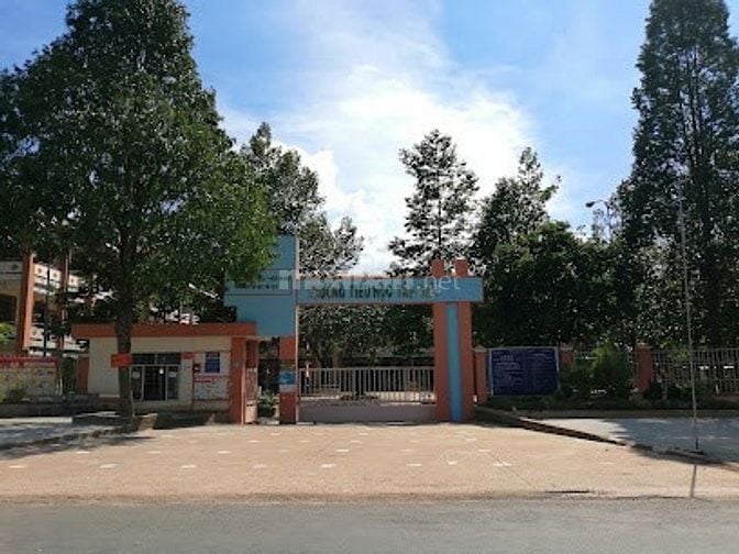 Đường DH504, Xã Phước Sang, Huyện Phú Giáo, Bình Dương