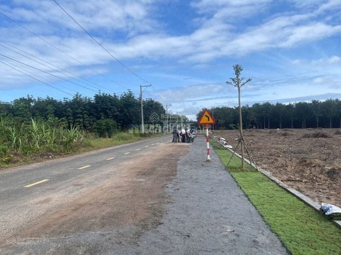 Đường DH504, Xã Phước Sang, Huyện Phú Giáo, Bình Dương