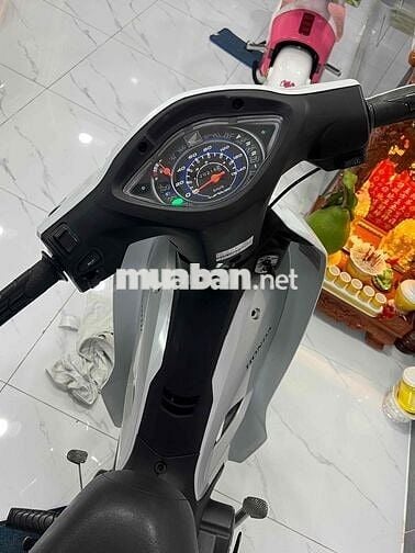 xe ngon sạch đẹp giá rẻ