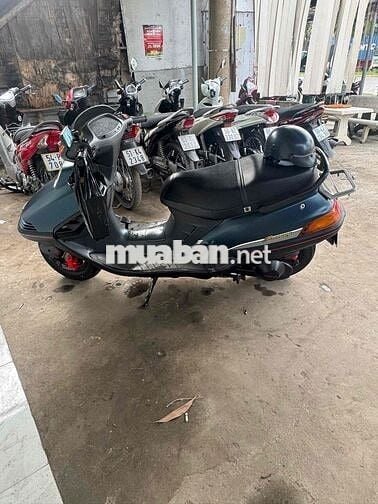 Xe Freeway mém cọp