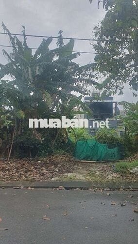 Đồng Cửa 4 Đường 10m5 lề 4m5 , Hướng Đông Nam Sạch Đẹp