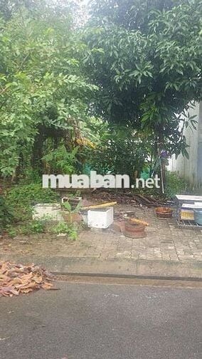 Đồng Cửa 4 Đường 10m5 lề 4m5 , Hướng Đông Nam Sạch Đẹp