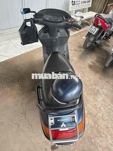 Xe Freeway mém cọp