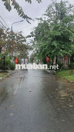 Cần Bán Dãy Trọ , Dòng Tiền 84tr 1 năm , Ngay 9 Tòa ECohome , Đang Xây