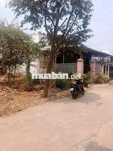 bán đất thổ cư shr , 100m2 , thới hoà , bến cát