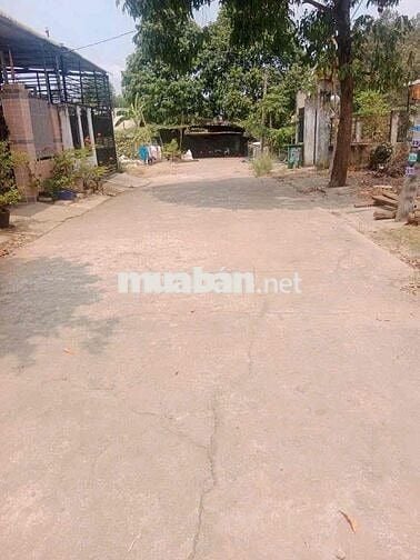 bán đất thổ cư shr , 100m2 , thới hoà , bến cát