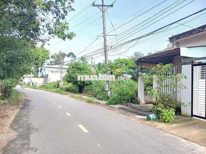 bán đất thổ cư shr , 100m2 , thới hoà , bến cát