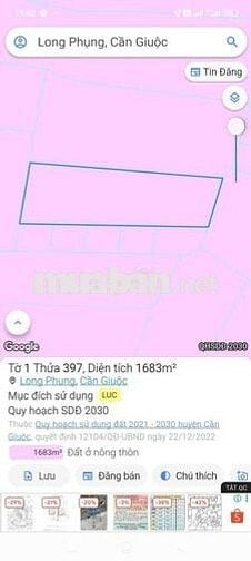 Cần bán nhanh 902mv đất lúa Long Phụng, Cần Giuộc (chính chủ)