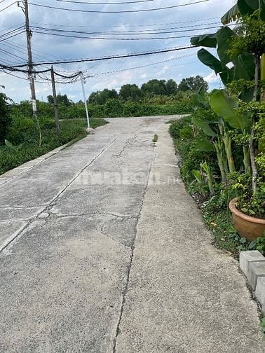 Bán nhà hẻm 480/65/24 Bình Quới 