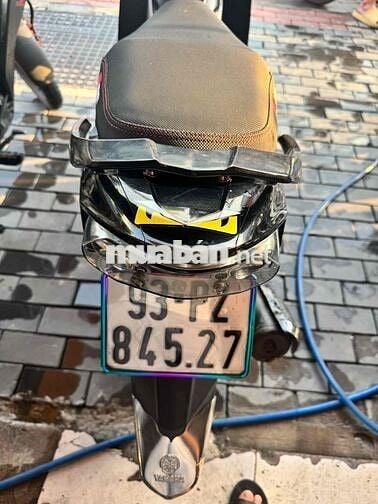 sirus zin kiểng đẹp