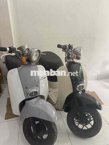 Xe máy 50cc Đa dạng Đã qua sử dụng
