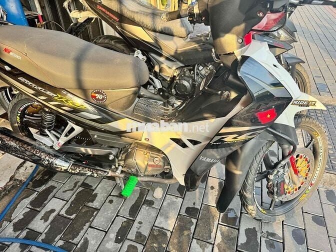 sirus zin kiểng đẹp