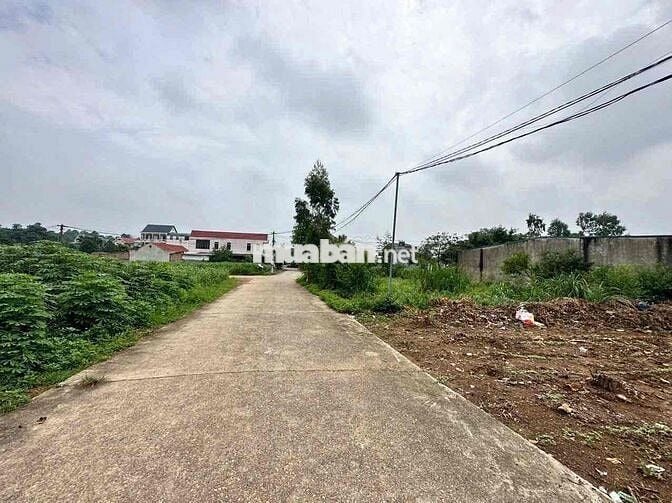 KHÔNG CÓ LÔ THỨ 2, ĐẤT THANH ĐÌNH 303M2, GIÁ ĐẦU TƯ  SINH LỜI CAO