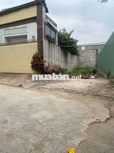 Bán gấp đất ở, tỉnh lộ 10, Bình Tân, hẻm 10m, 5x25 giá chỉ hơn 4 tỷ