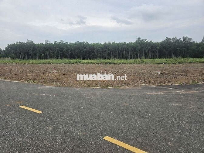 Bán đất thổ cư Phước Long Thọ sỉ 13 lô cách biển Lộc An 4km chỉ 630tr