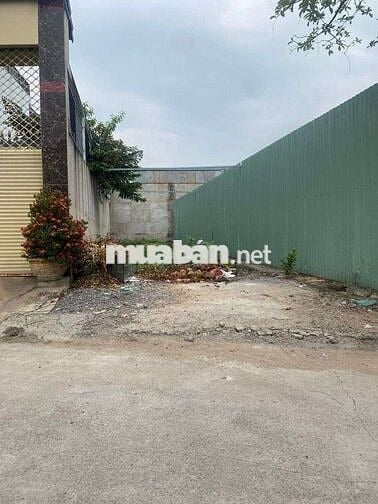 Bán gấp đất ở, tỉnh lộ 10, Bình Tân, hẻm 10m, 5x25 giá chỉ hơn 4 tỷ