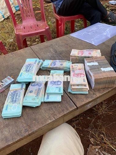 Bán 2 căn nhà 8x12m, đường 10m, 1/ Tô Ký, đối diện ĐH GTVT, Q12